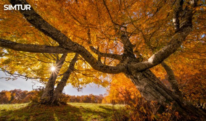 Colori dell'autunno sul Terminillo Colori dell'autunno sul Terminillo