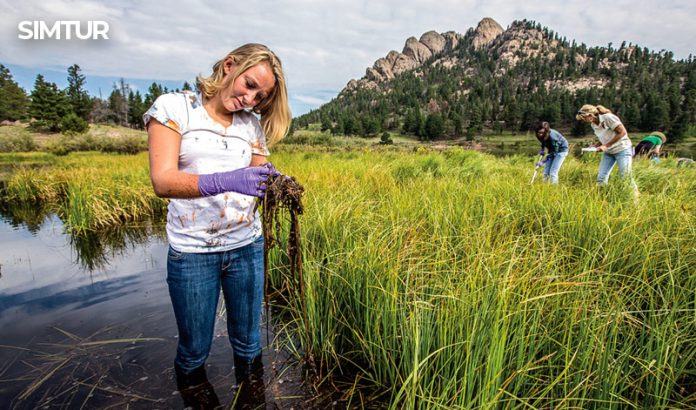 Citizen scientists Citizen scientists