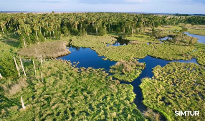Natura e biodiversità Natura e biodiversità