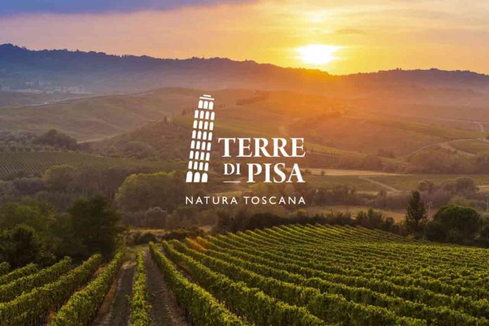 terre di pisa DMO terre di pisa DMO
